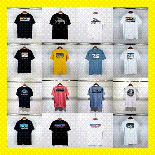 Patagonia T-shirt（35 Styles